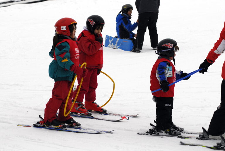 c-castor-25-27-768x514-2