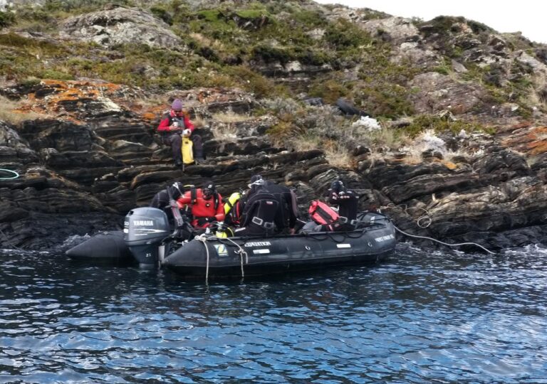 embarcados-1-768x540-1