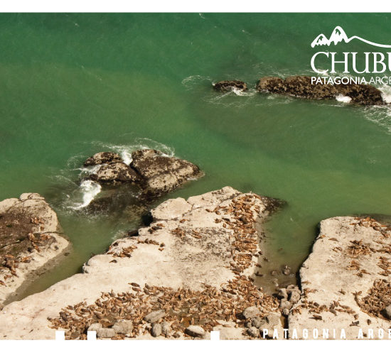 marques002-550x500-1