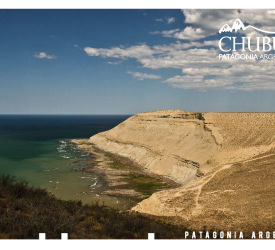 marques005-550x500-1