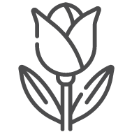 primavera-17 term-custom-icon