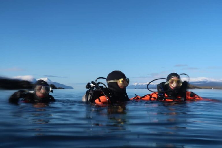ushuaia-divers-superficie-768x512-1