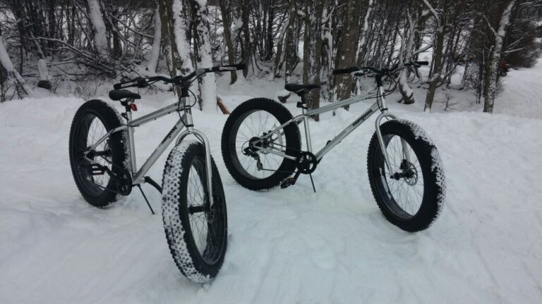 whatsapp-image-2023-06-12-at-3-24-00-pm-768x432-1