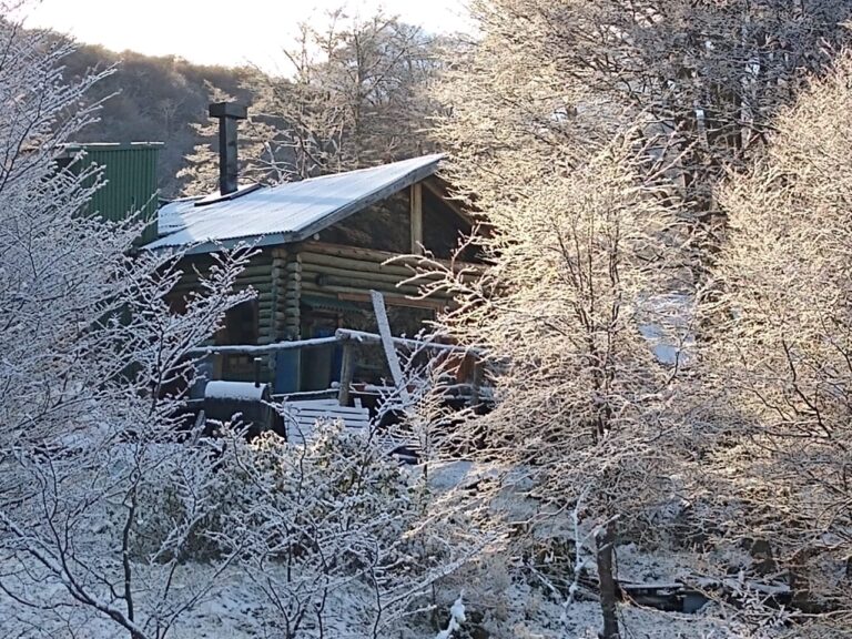 whatsapp-image-2023-06-12-at-3-24-05-pm-768x576-1