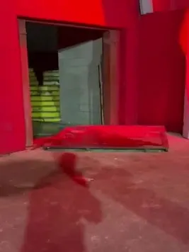 Así quedó el estadio de Independiente luego de los incidentes