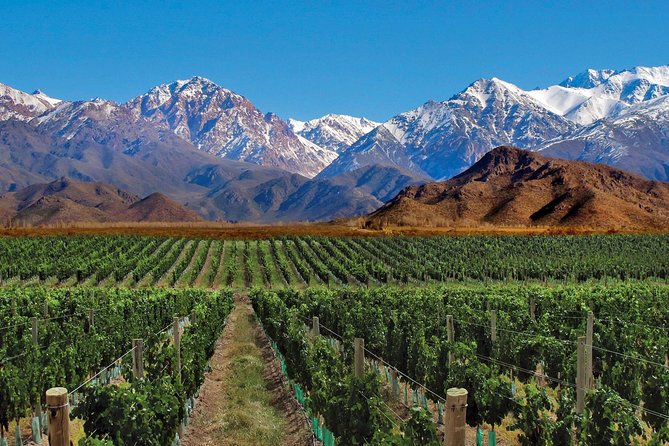 mendoza-1
