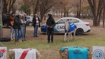 Una burra y un ñandú predijeron la final del Apertura entre River y Belgrano Una burra y un ñandú predijeron la final del Apertura entre River y Belgrano