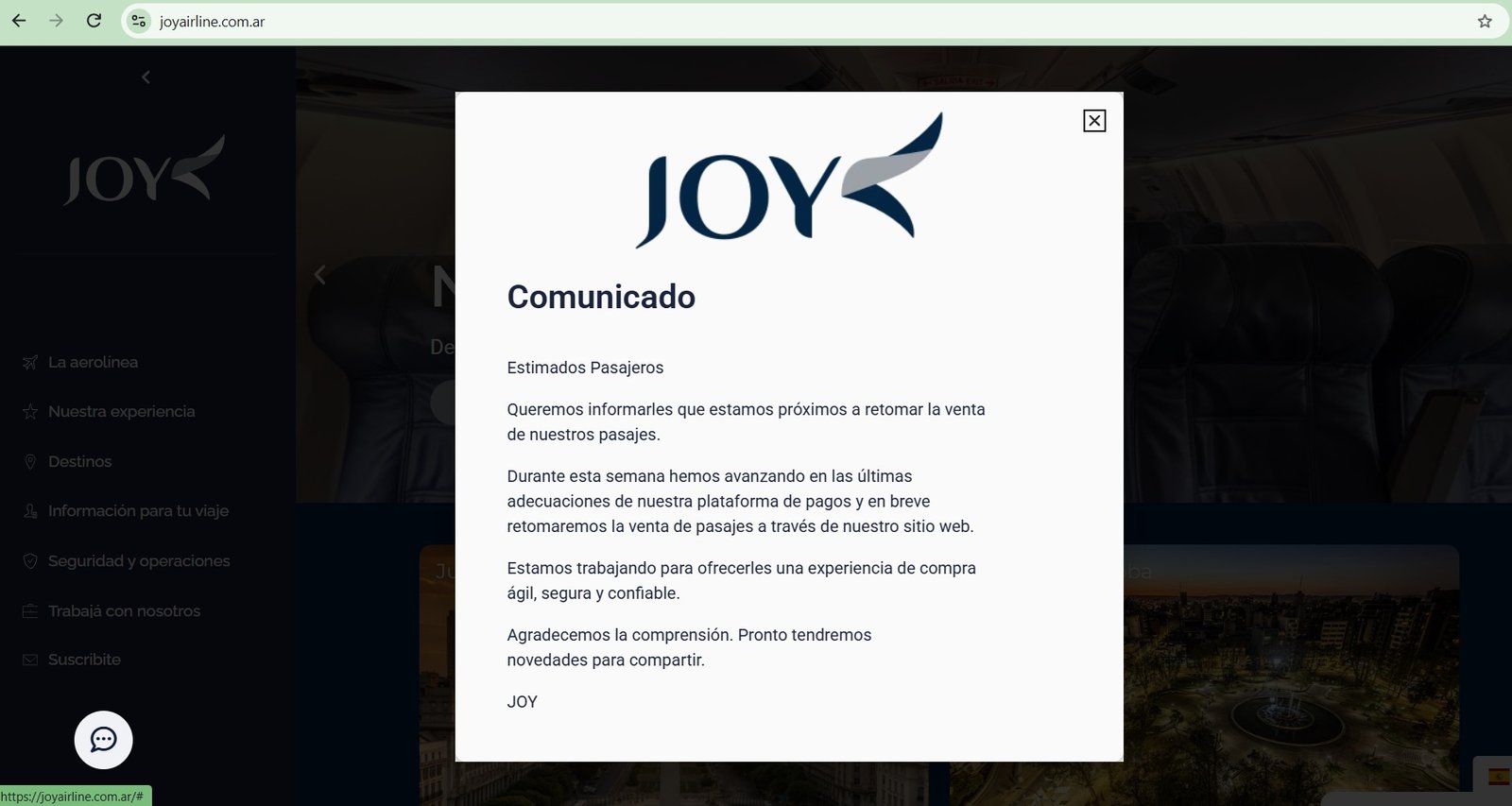 joy-1